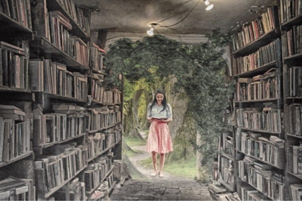 library-3992076_1920