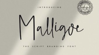 3a4cc2d0-a2a5-45b7-847d-e2b1452df304