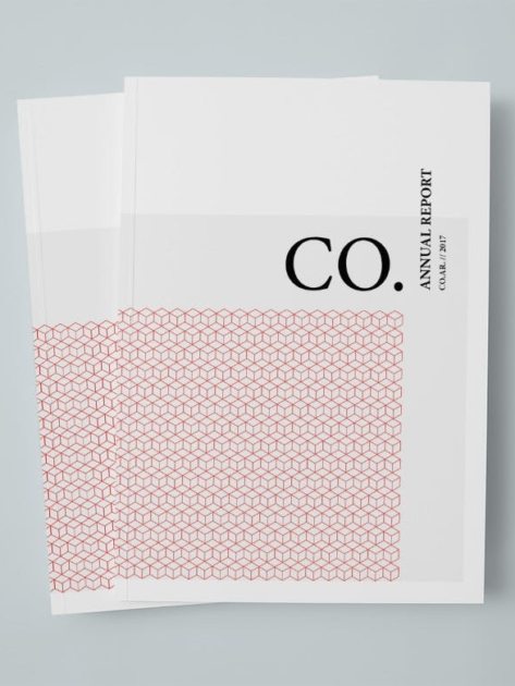 CO.-Annual-Report