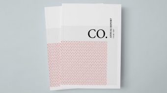CO.-Annual-Report