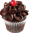 Chocolate Flower Cupcake - 1351x1520