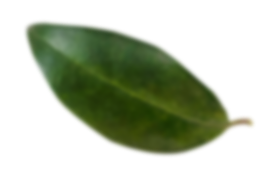 4179141 2