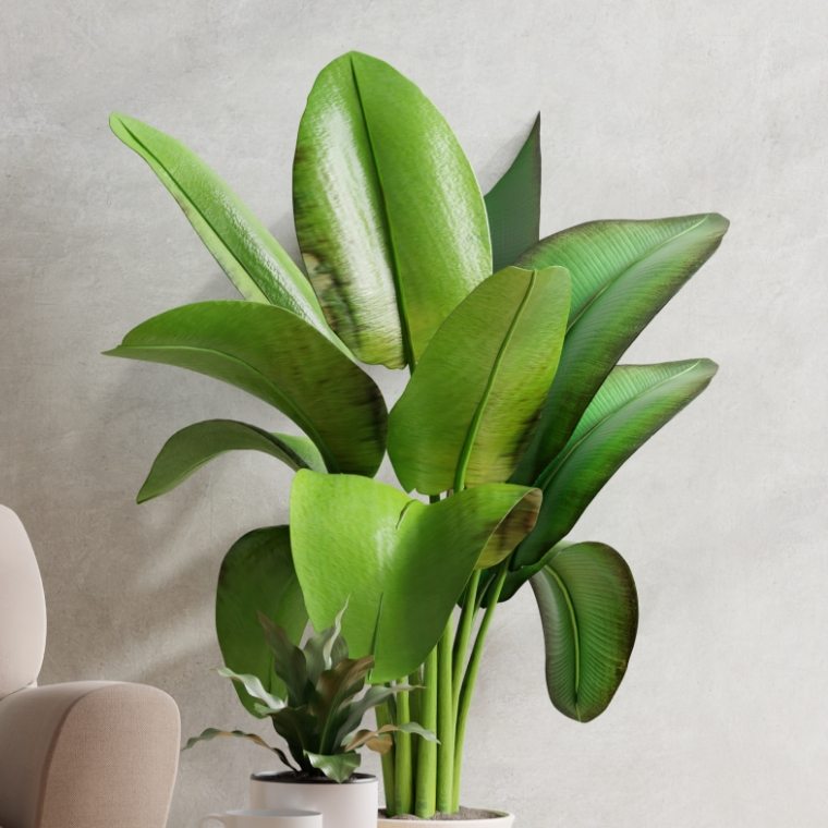brown-sofa-wooden-table-living-room-interior-with-plant-concrete-wall