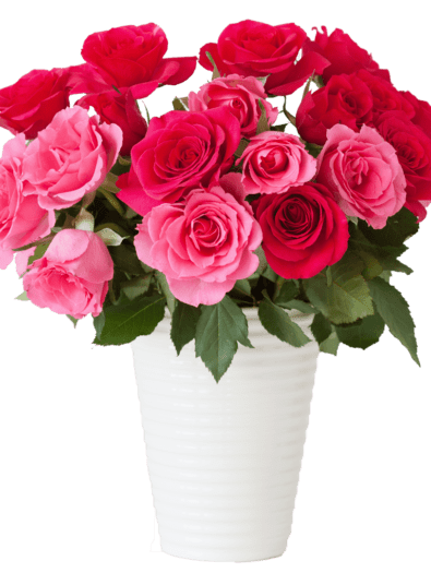 beautiful-red-rose-flowers-bouquet-in-vase-over-PQMN932