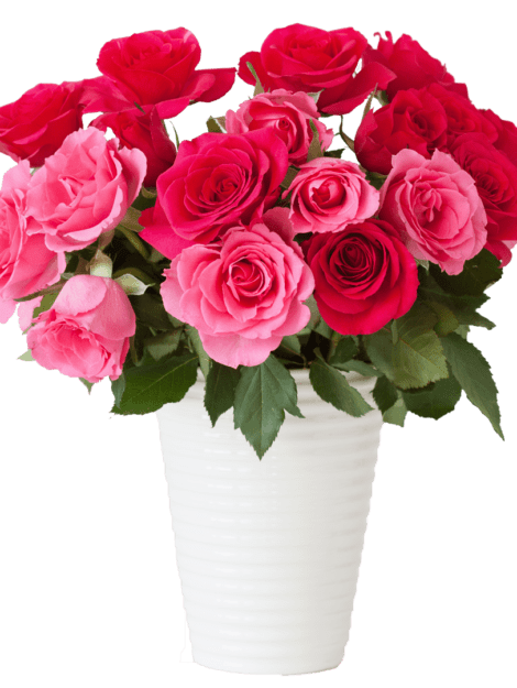 beautiful-red-rose-flowers-bouquet-in-vase-over-PQMN932
