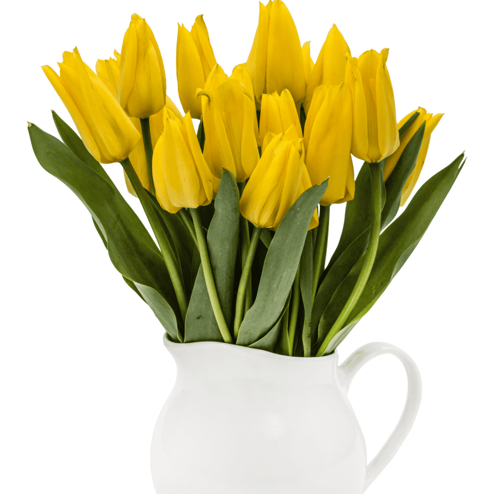 Purple Tulips In Ceramic Vase Flower Shop Phlox Elementor WordPress