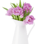 pink-tulips-bouquet-D5TCQEK(1)
