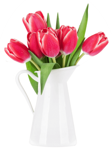 red-tulip-flowers-bouquet-P85CFN2