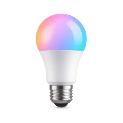 Nikon Camera - 900x871 (2)