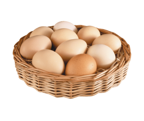 Eggs in Basket - 1280x824