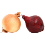 Fresh Onions - 1280x639