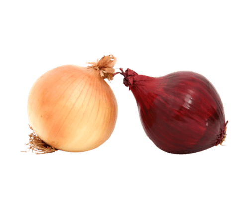 Fresh Onions - 1280x639