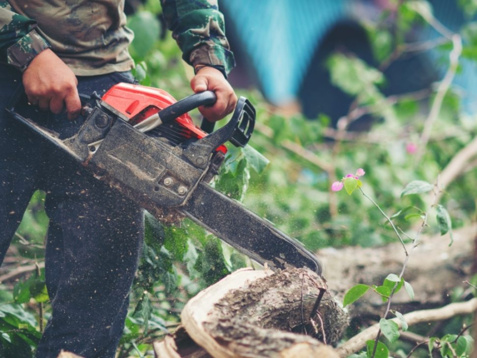 asian-man-cutting-trees-using-electrical-chainsaw