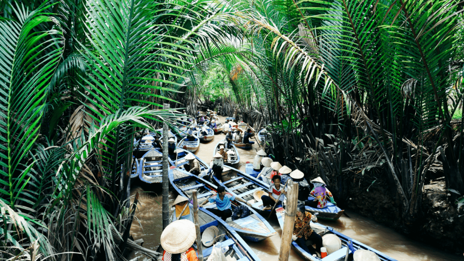 image-6 (1)