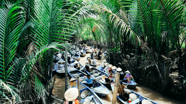 image-6 (1)