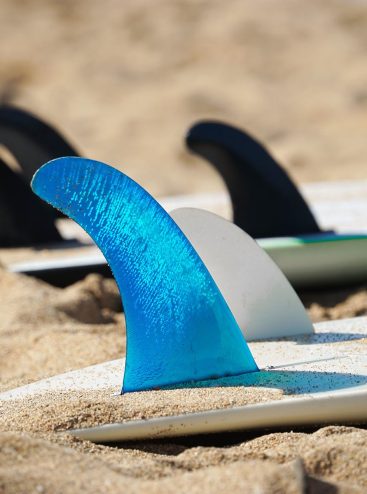 michael-olsen-wJZ2Uyljhfo-unsplash