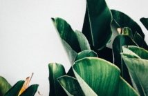 kiki-siepel-787802-unsplash