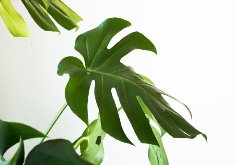 ergita-sela-OFrc0b8ruts-unsplash