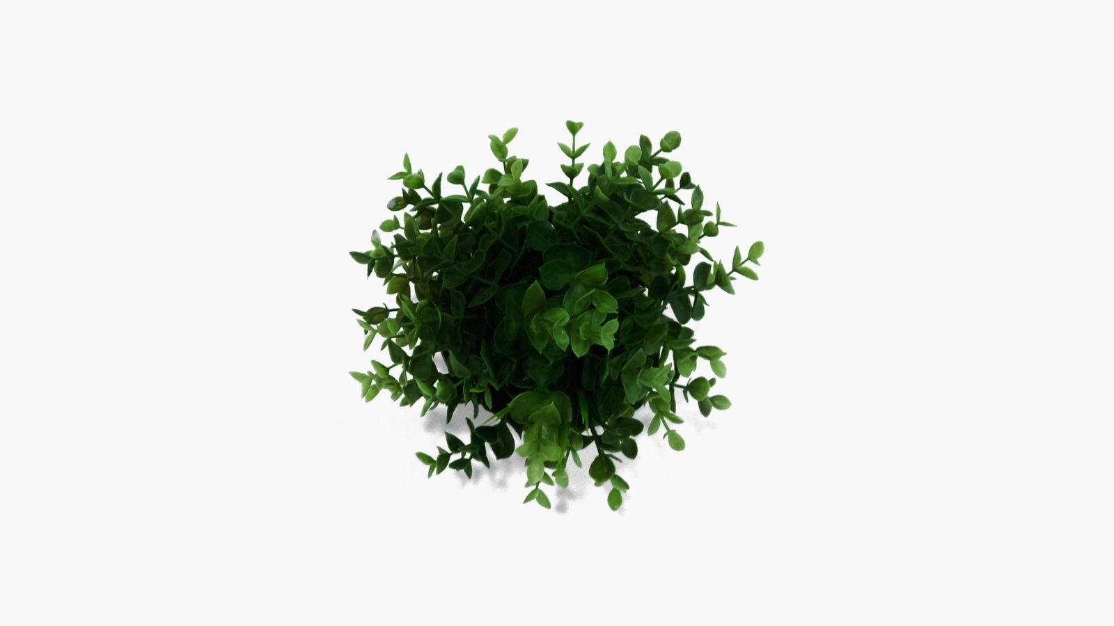 nick-bitter-E6-kraJb7o4-unsplash