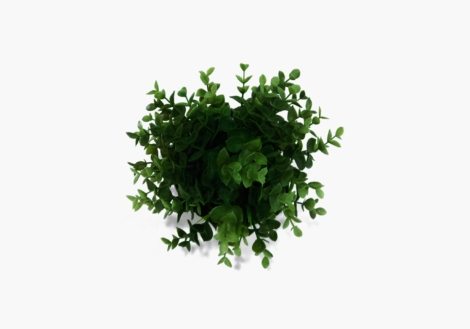 nick-bitter-E6-kraJb7o4-unsplash