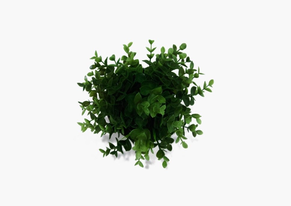 nick-bitter-E6-kraJb7o4-unsplash