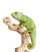 graceful-chameleon-PEWXWX6