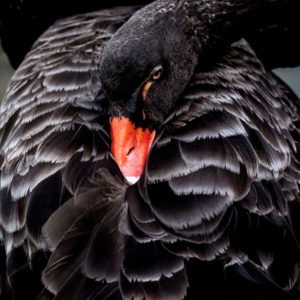 david-clode-W7QkaUbYEmg-unsplash